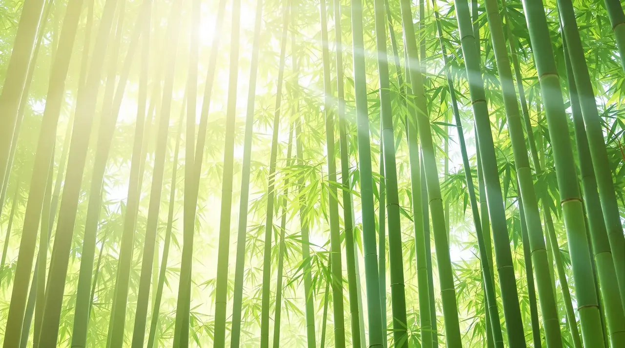 竹林风声